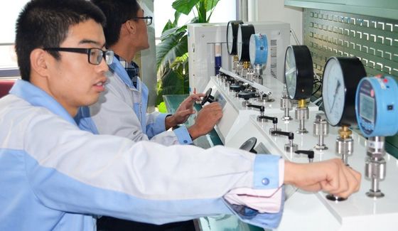 Stabiliteitssnelheid binnen 5 seconden Meerdere uitgangen Drukkalibratieapparatuur HS318L